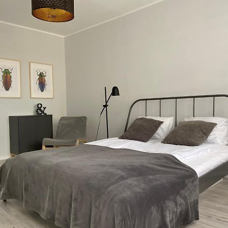 Apartament Kilinskiego 9 Свидница Экстерьер фото
