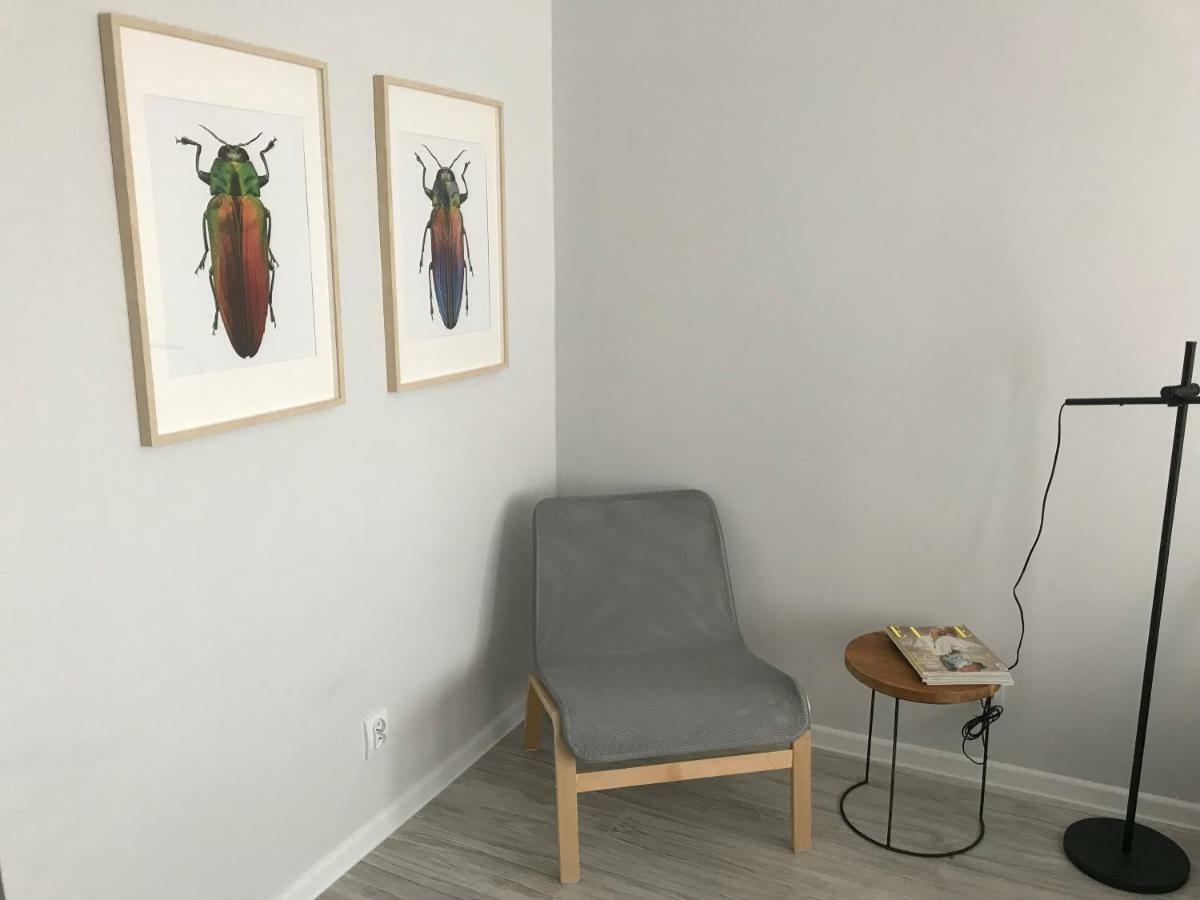 Apartament Kilinskiego 9 Свидница Экстерьер фото